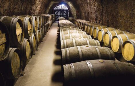 Summertime Sippers: Sustainable and Organic Wines Image